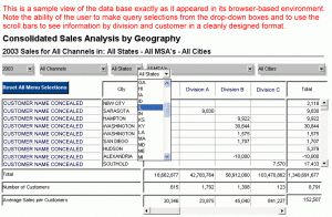 Business Intelligence Customer Analysis